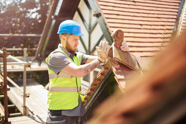 Roof Gutter Cleaning in Campo, CA